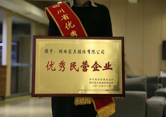 掌上明珠家居榮獲四川省“優(yōu)秀民營(yíng)企業(yè)”稱(chēng)號(hào)